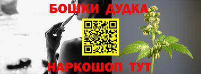 ГАЛЛЮЦИНОГЕННЫЕ ГРИБЫ Кингисепп