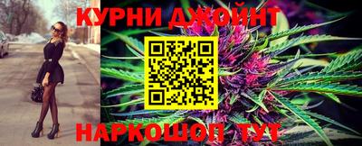 ГАЛЛЮЦИНОГЕННЫЕ ГРИБЫ Кингисепп