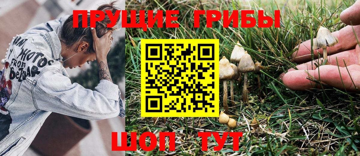 где можно купить   Псилоцибиновые грибы мицелий  Балашов  Вход с VPN  Галлюциногенные грибы GOLDEN TEACHER 